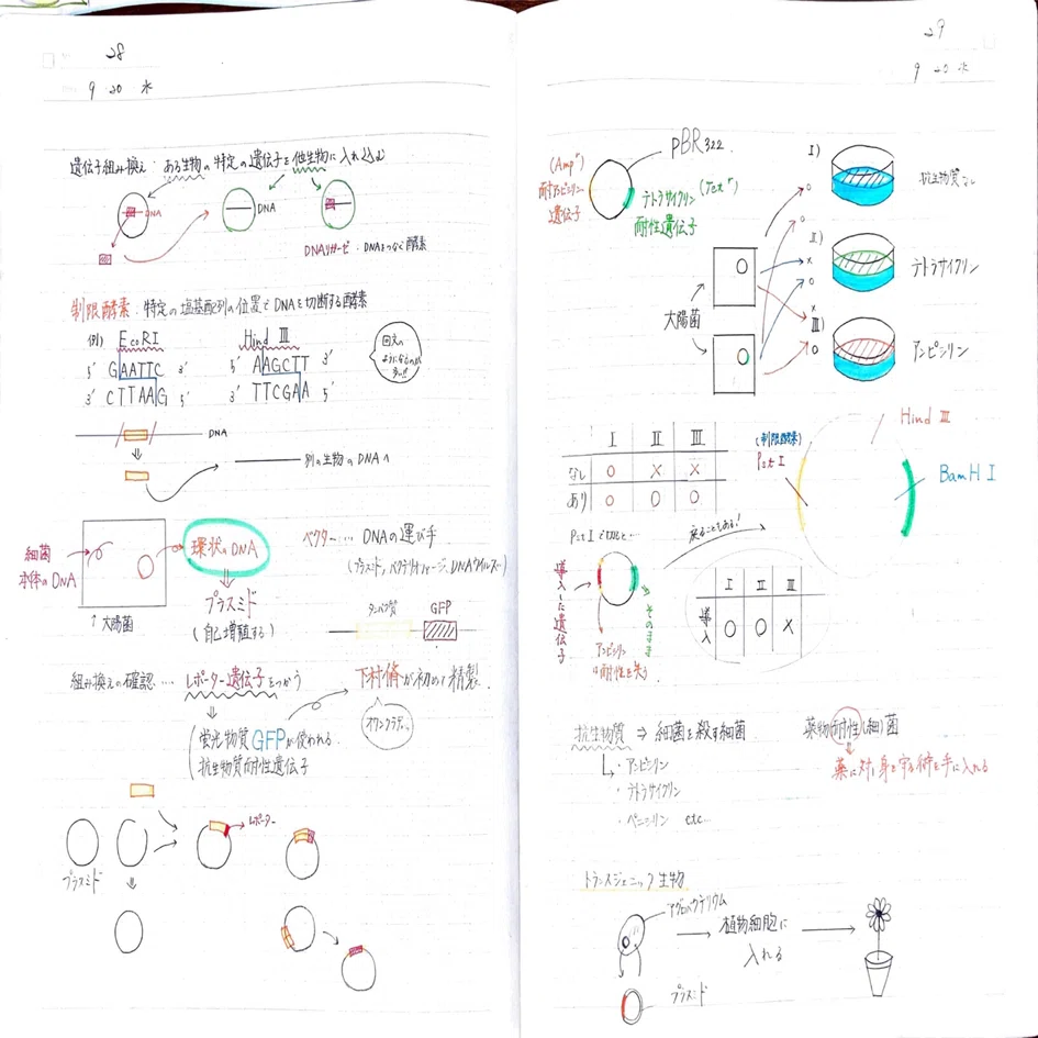 noteリレー63】わたしが積み上げたノート術の歴史！｜〜KIRAの日常〜