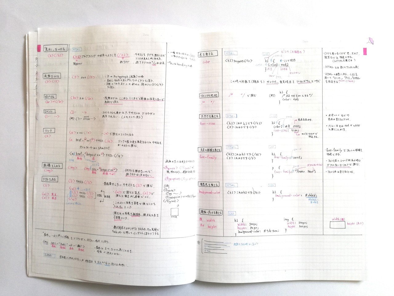 Studium Summary Note というノートで勉強を始めてみました きのっこ 水彩イラスト Note Studium Summary Note というノートで勉強を始めてみました きのっこ 水彩イラスト Note