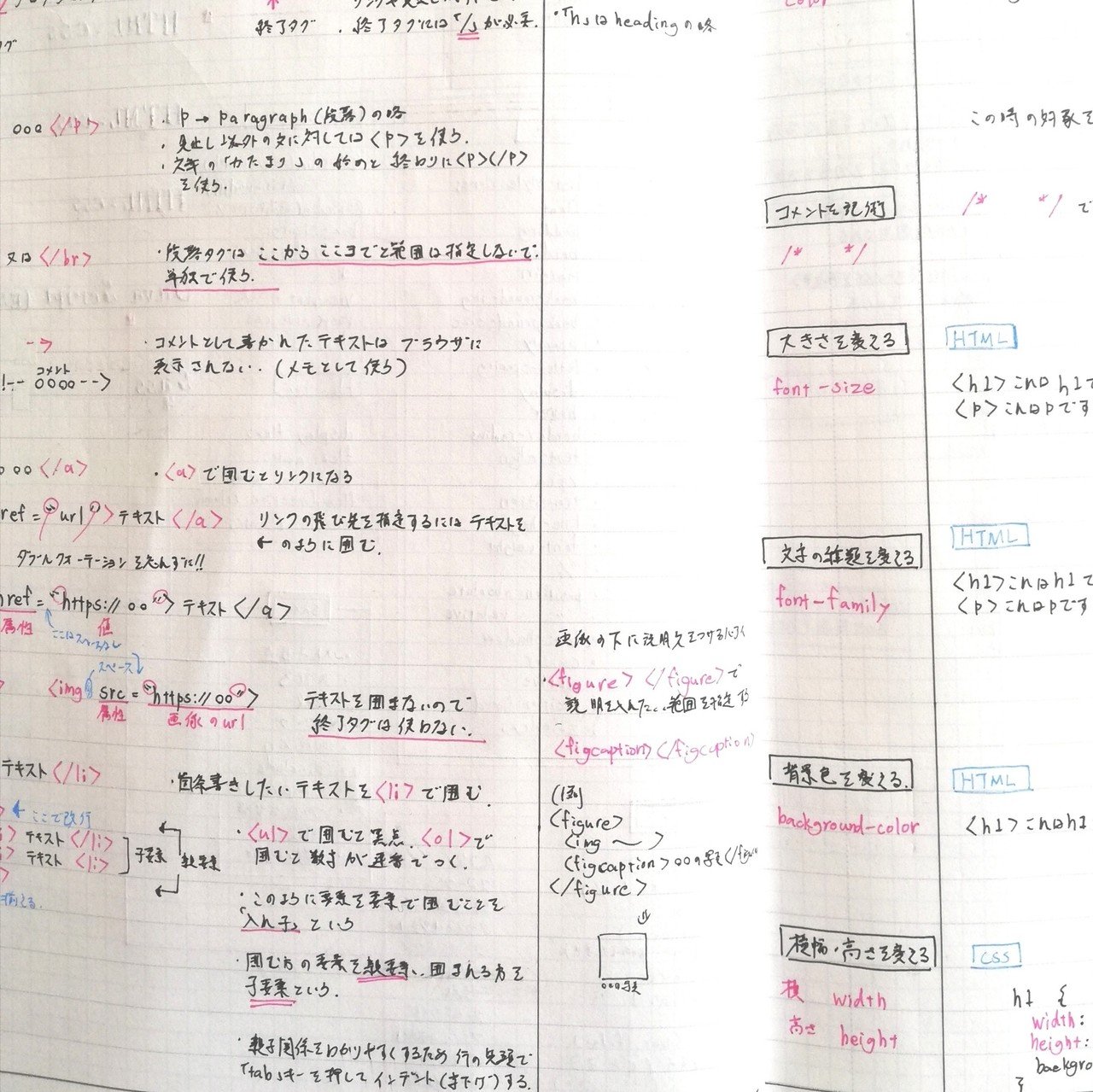 Studium Summary Note というノートで勉強を始めてみました きのっこ 水彩イラスト Note Studium Summary Note というノートで勉強を始めてみました きのっこ 水彩イラスト Note