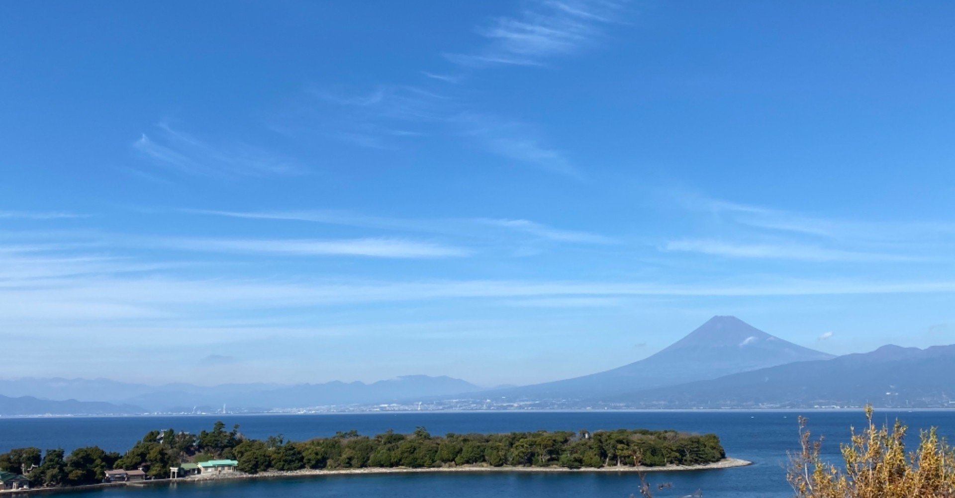 年賀状じまい例文 理由も忖度もいらない めんどくさい人向け りあこ Note 年賀状じまい例文 理由も忖度もいらない めんどくさい人向け りあこ Note