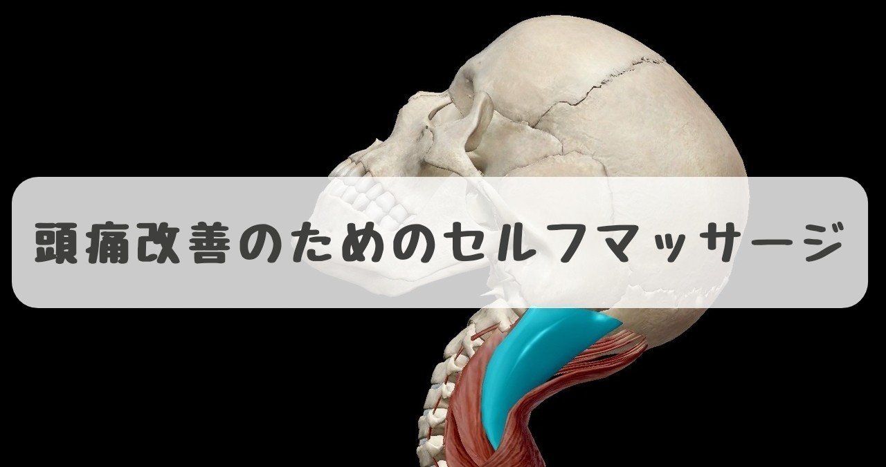 厄介な頭痛の原因になる筋肉へのアプローチ法 胸鎖乳突筋 頭板状筋 だーまえ Note