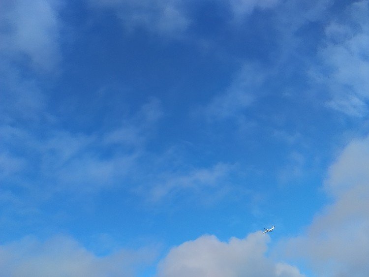 今朝の空。久しぶりの青空でした。
すると、プロペラ音が聞こえてきた。
朝、那覇からやってきたRAC機でした。