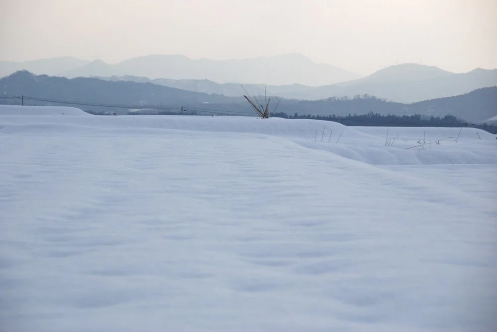 来週から雪が降るということで、冬の憂鬱を語らせてほしい。|くらし