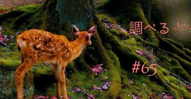 N 65 関係詞 接続詞 Momo Note N 65 関係詞 接続詞 Momo Note