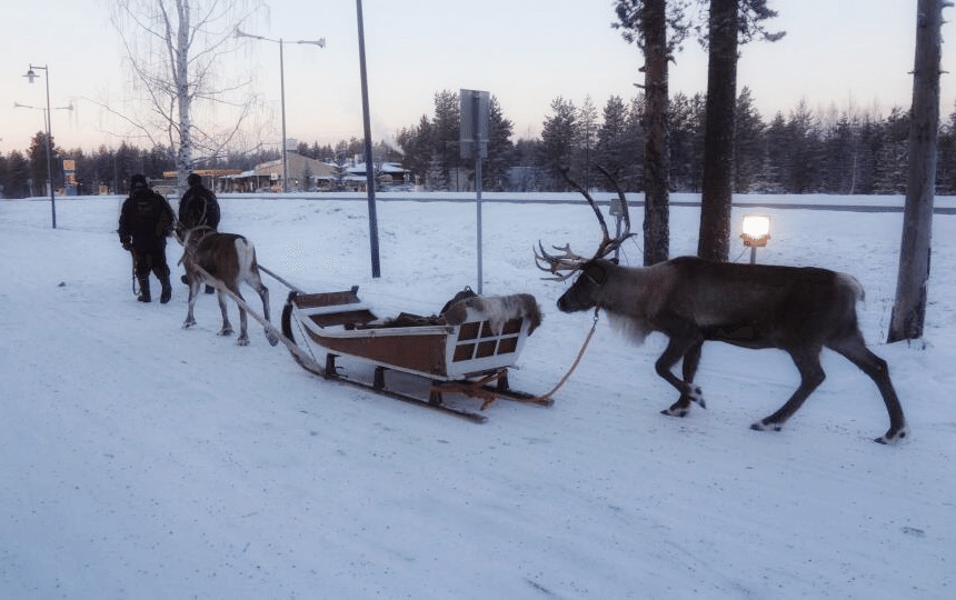 トナカイのそり の新着タグ記事一覧 Note つくる つながる とどける