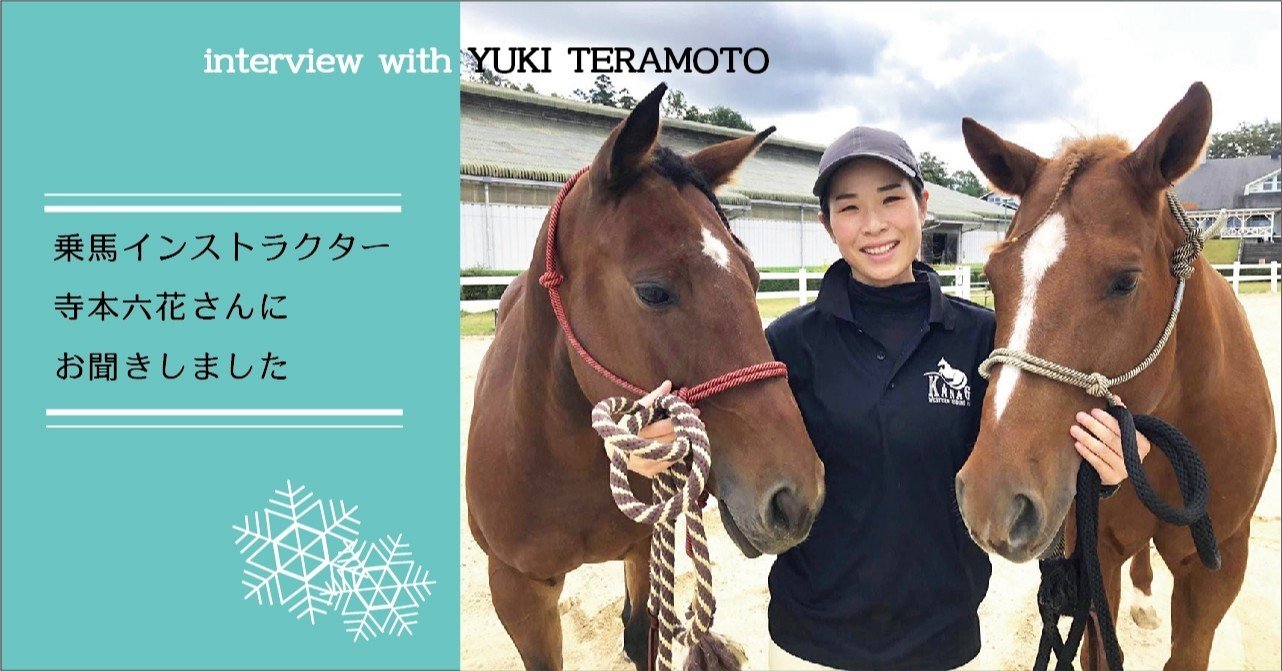 乗馬　即購入大歓迎！今日限定！ 乗馬即購入大歓迎！今日限定！