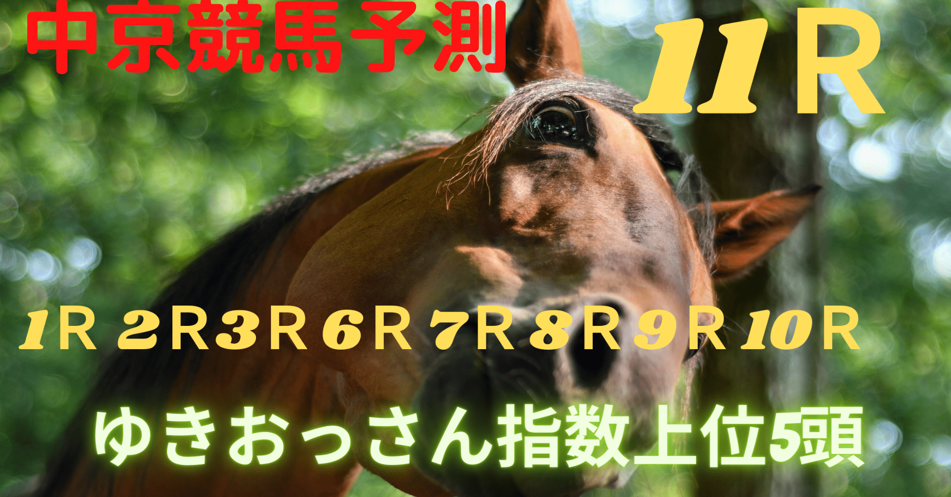 中京競馬予測 1ｒ2ｒ3ｒ6ｒ7ｒ8ｒ9ｒ10ｒ11ｒのゆきおっさん指数厳選5頭 ゆきおっさん Note