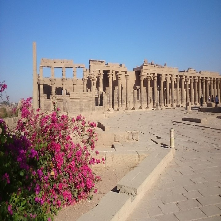 フィラエのイシス神殿 うしみ Note