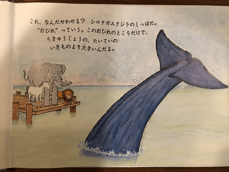 宇宙の大きさを感じる絵本 シロナガスクジラより大きいものっているの 笹原ゆう Note 宇宙の大きさを感じる絵本 シロナガスクジラより大きいものっているの 笹原ゆう Note