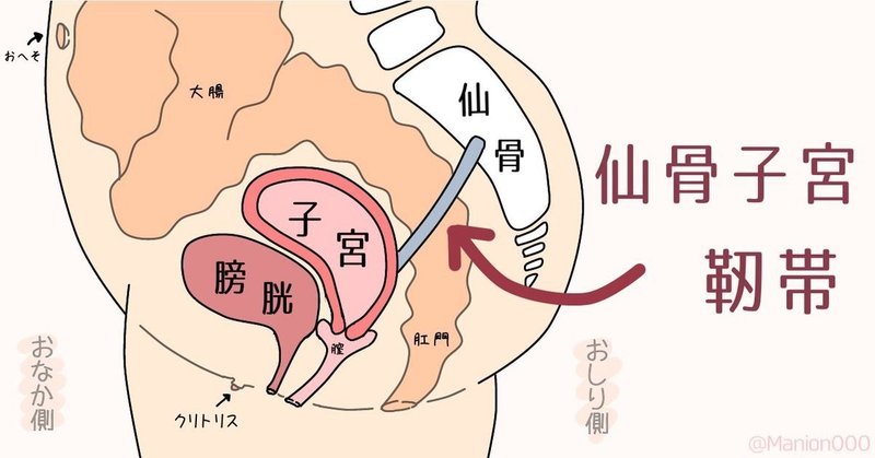 シャワー 仙骨