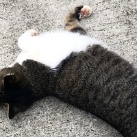 私が小説家になるまでの投稿歴を超具体的に書いてく 彩藤アザミ Note 私が小説家になるまでの投稿歴を超具体的に書いてく 彩藤アザミ Note