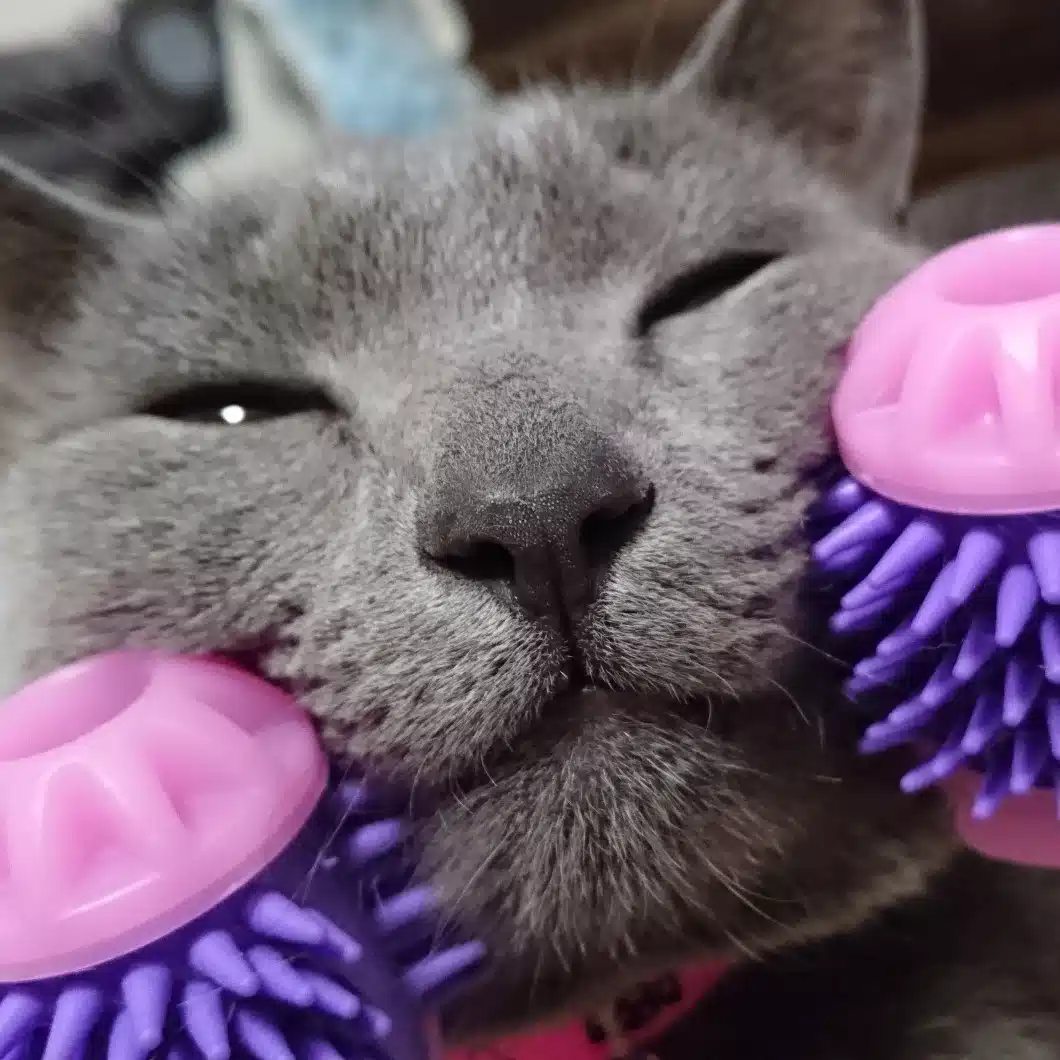 ゆういち