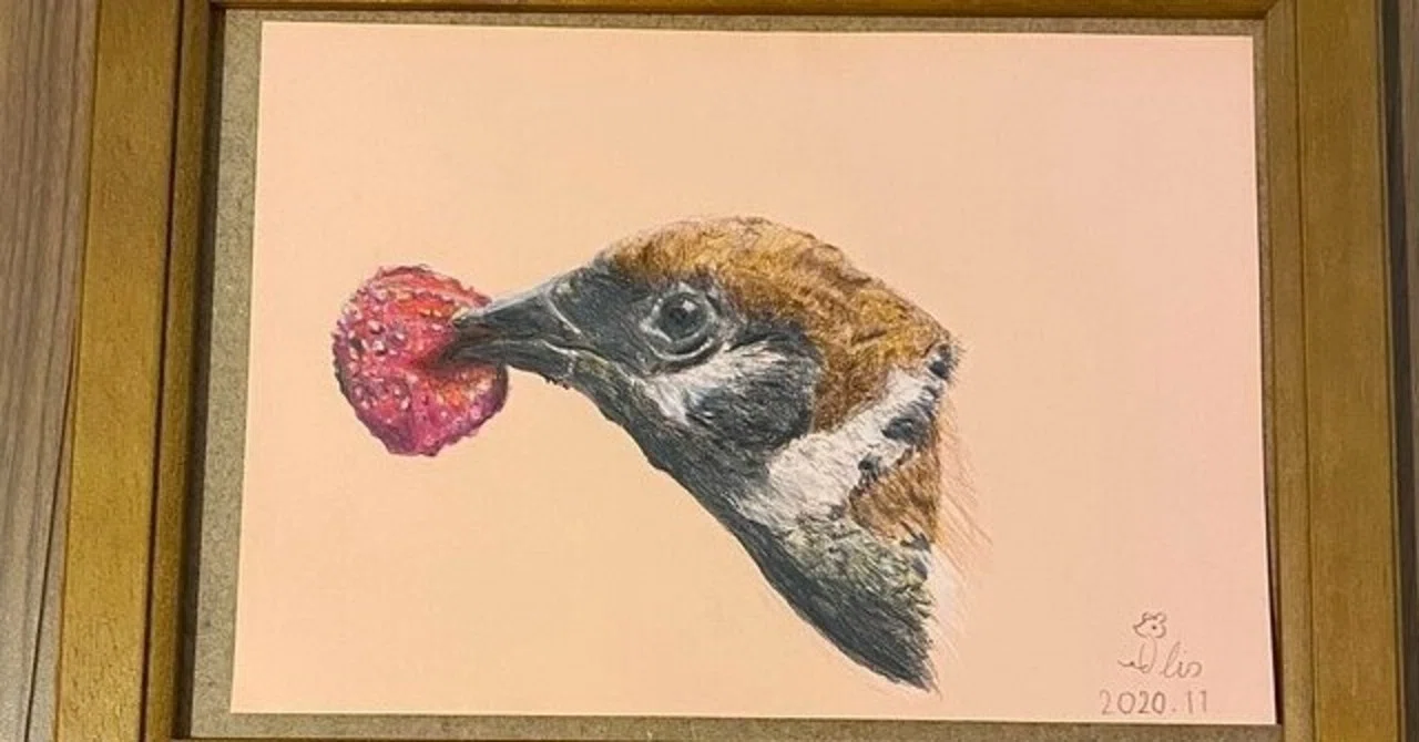 色鉛筆画：スズメ】｜オーリオ（イラストレーター）