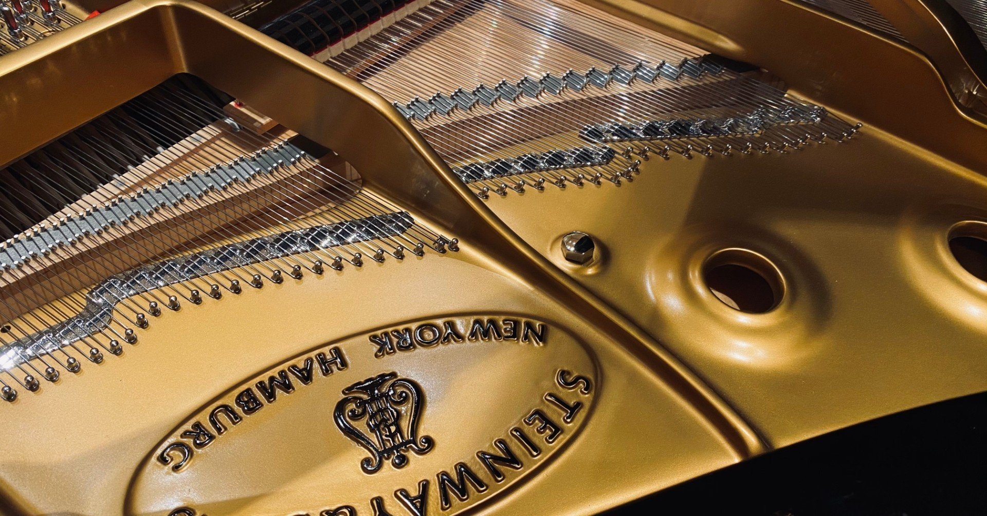 Zycopolis Tvでライブを見た件 Yokomama Note