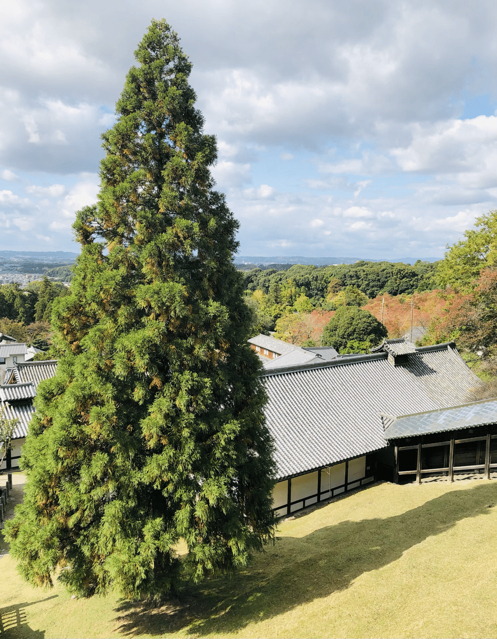 ゴッホの糸杉かと思った 東大寺二月堂 奈良 ころ Note ゴッホの糸杉かと思った 東大寺二月堂 奈良 ころ Note