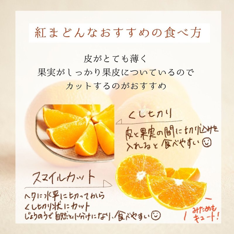 旬は12月だけ 紅まどんな ギフトになるためにうまれたみかん 蝶結び フルーツで贈る出産祝い Note 旬は12月だけ 紅まどんな ギフトになるためにうまれたみかん 蝶結び フルーツで贈る出産祝い Note