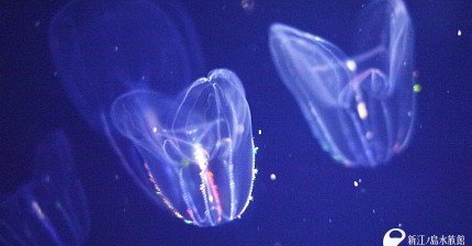 c5c5654ccfbb3d66199f5663597bad