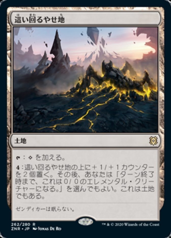 画像5
