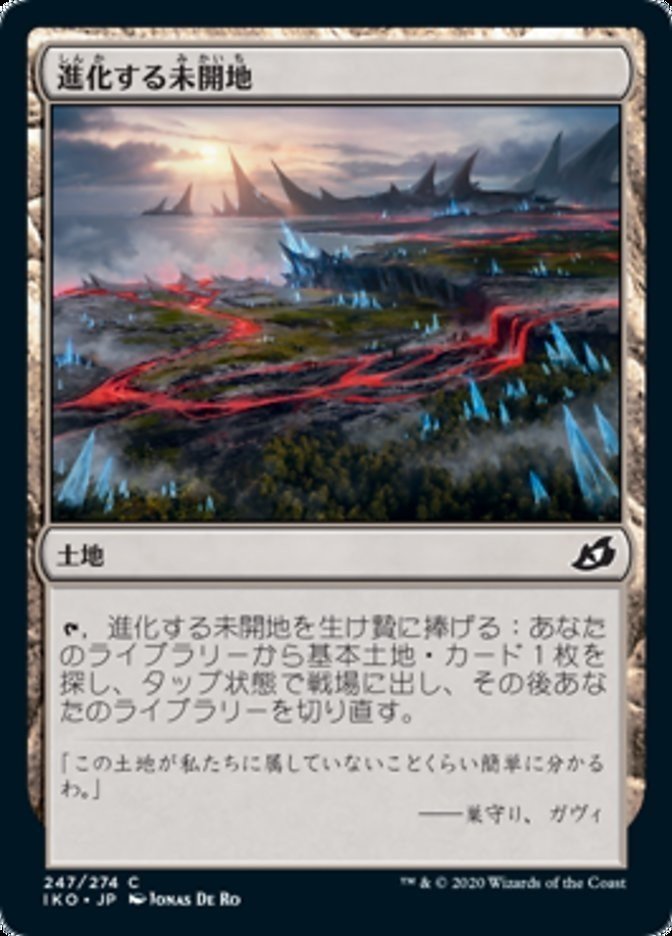 画像8