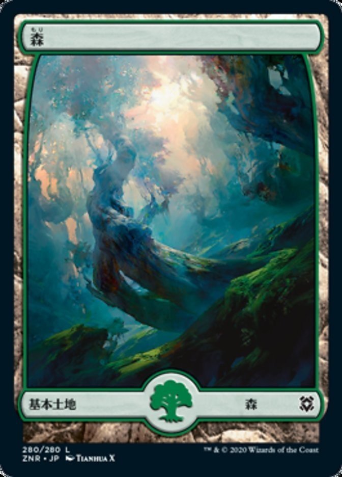 画像9
