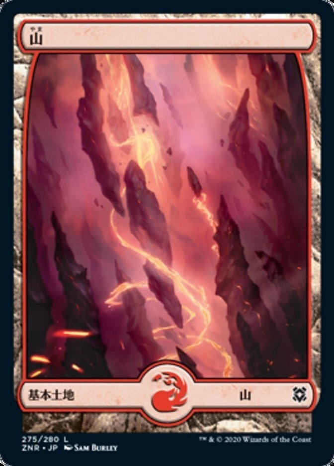 画像10