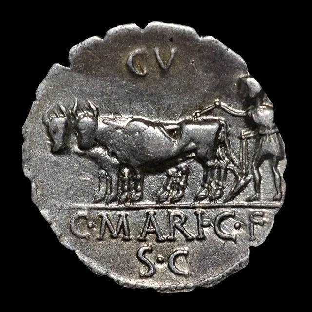 コインで辿る古代ギリシア・ローマの歴史と文化|Shelk🦋🗝️ コインで辿る古代ギリシア・ローマの歴史と文化|Shelk🦋🗝️