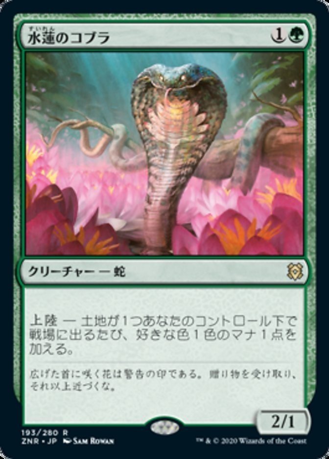 画像13