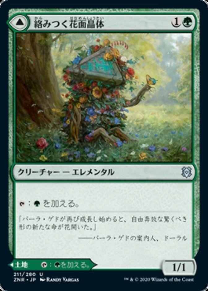 画像15