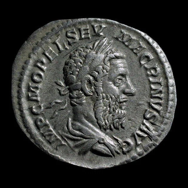 コインで辿る古代ギリシア・ローマの歴史と文化｜Shelk🦋🗝️