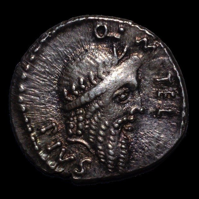 コインで辿る古代ギリシア・ローマの歴史と文化｜Shelk🦋