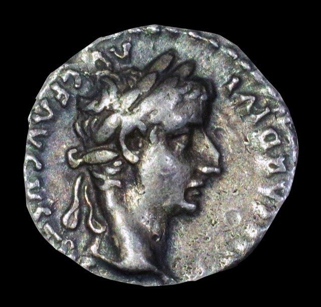 コインで辿る古代ギリシア・ローマの歴史と文化｜Shelk🦋