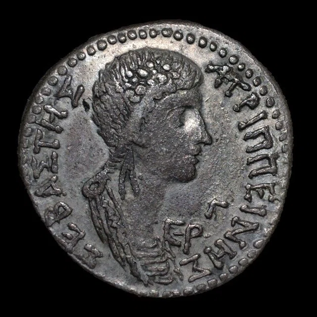コインで辿る古代ギリシア・ローマの歴史と文化｜Shelk🦋🗝️