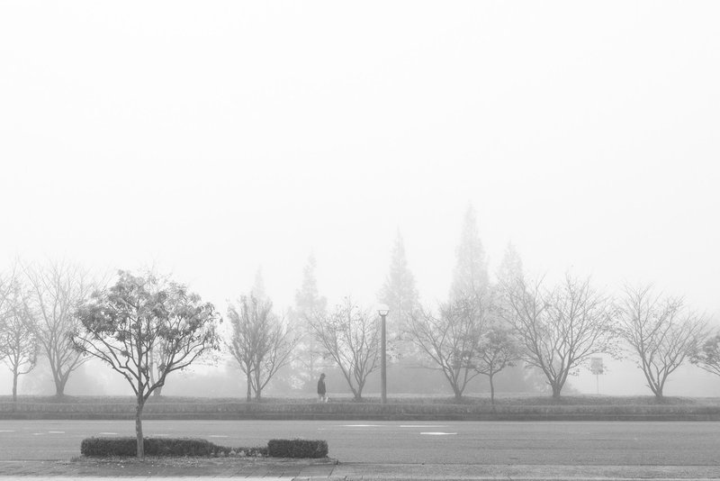 （リサイズ）20201108風景-0008(鳥栖、朝、濃霧）