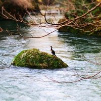 僕が見つけた気持ちのいい音楽 犬山翔太 Note 僕が見つけた気持ちのいい音楽 犬山翔太 Note