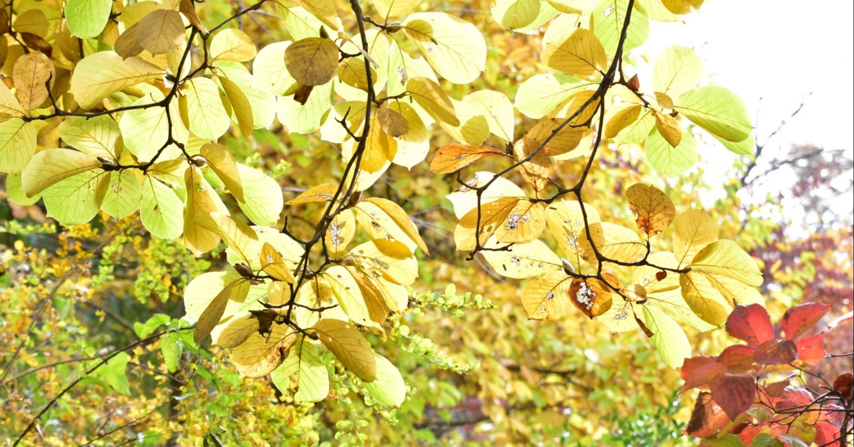 卑屈になる９つの心理状況と８つの改善方法 Lifefactory 公式 心の統合医療 Note