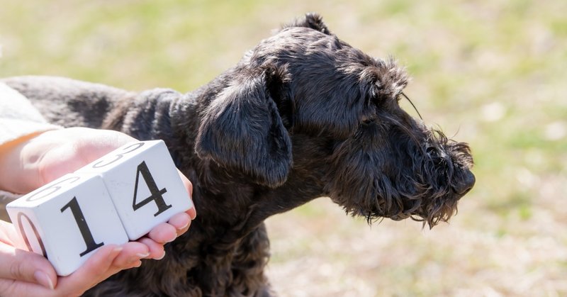 子供が生まれたら犬を飼いなさい Goodog Life シカマキ Note 子供が生まれたら犬を飼いなさい Goodog Life シカマキ Note