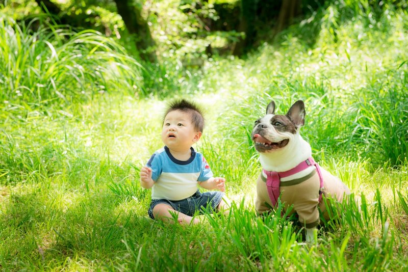 子供が生まれたら犬を飼いなさい Goodog Life シカマキ Note 子供が生まれたら犬を飼いなさい Goodog Life シカマキ Note