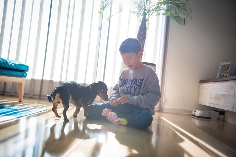 子供が生まれたら犬を飼いなさい Goodog Life シカマキ Note 子供が生まれたら犬を飼いなさい Goodog Life シカマキ Note