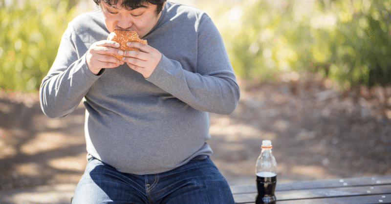 発表します 食欲を抑える方法 大沢しおん Note 発表します 食欲を抑える方法 大沢しおん Note