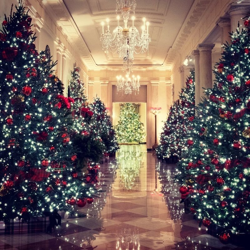 ホワイトハウスの🎄。廊下の両側に🎄