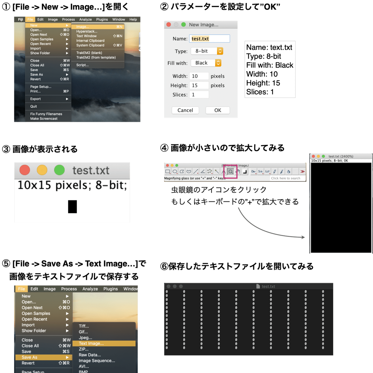 ImageJ】画像データは数値データ？｜eiko_programming