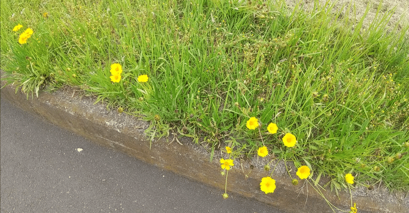 国民栄誉賞 の新着タグ記事一覧 Note つくる つながる とどける