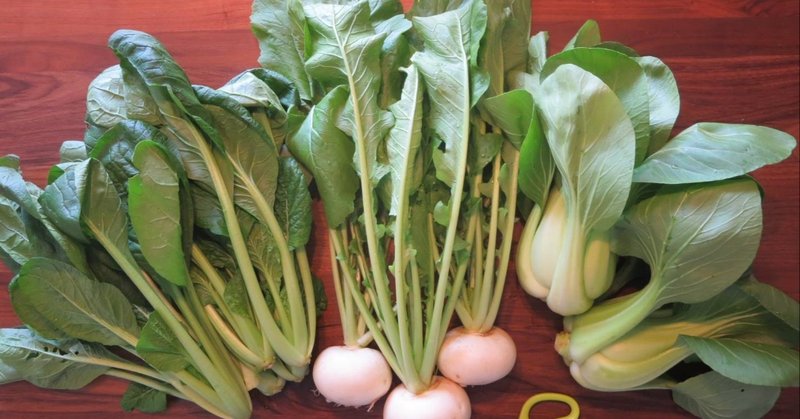 秋冬野菜 の新着タグ記事一覧 Note つくる つながる とどける 秋冬野菜 の新着タグ記事一覧 Note つくる つながる とどける