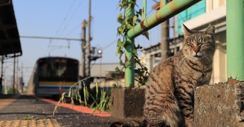 バーチャル旅行 観光スポットが何も無く 猫を愛でるために存在する駅 扇町駅 𝔸𝕠𝕚 ℕ𝕒𝕜𝕒𝕟𝕚𝕤𝕙𝕚 Note