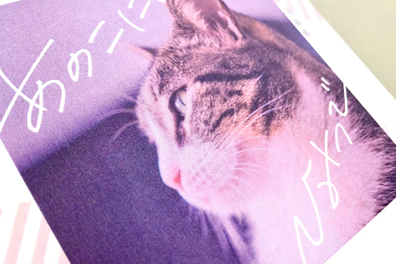 WordでA5(B6)小説同人誌の表紙とかをつくった過去作まとめ(2020)｜きゃ 