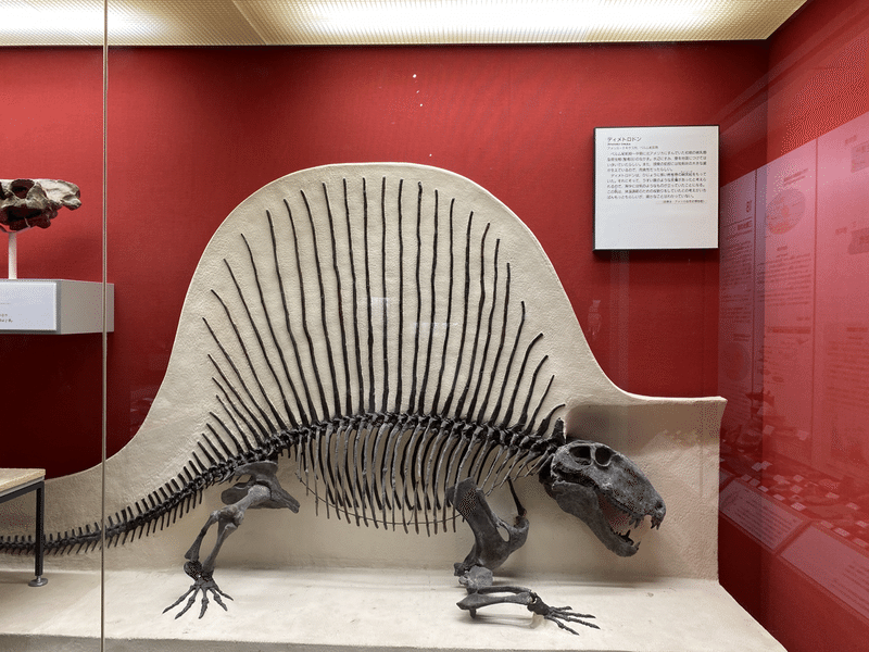 ウエスタンリバー鉄道の恐竜の種類と解説と考察 アルスフィリア Note