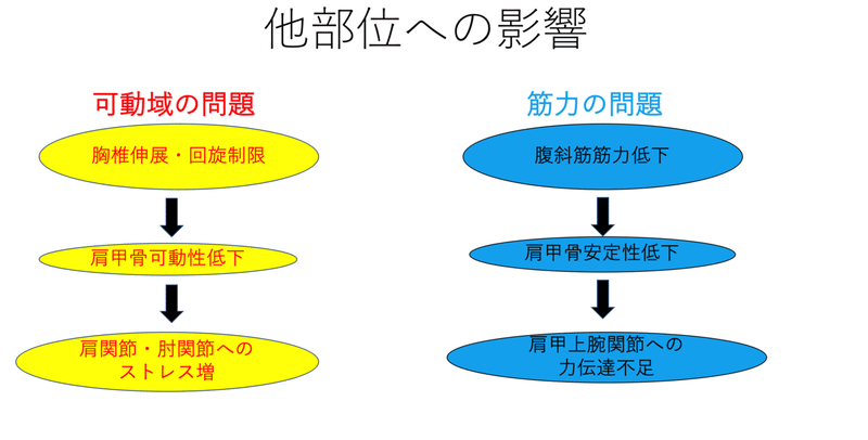 投球障害予防 チェックポイント -体幹-｜津田 航｜note