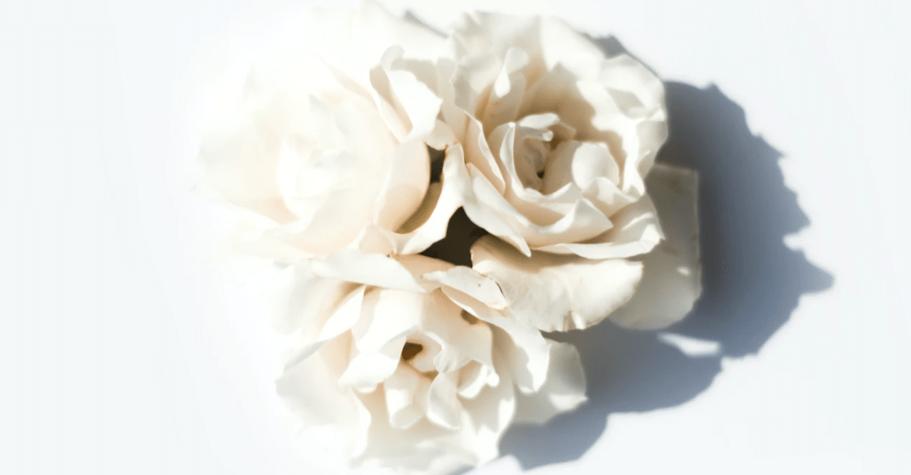 回避依存症のパートナーがいる方へ 回避依存症を徹底解説 有料級 満月 ミツキ 元恋愛依存症 Note 回避依存症のパートナーがいる方へ 回避依存症を徹底解説 有料級 満月 ミツキ 元恋愛依存症 Note