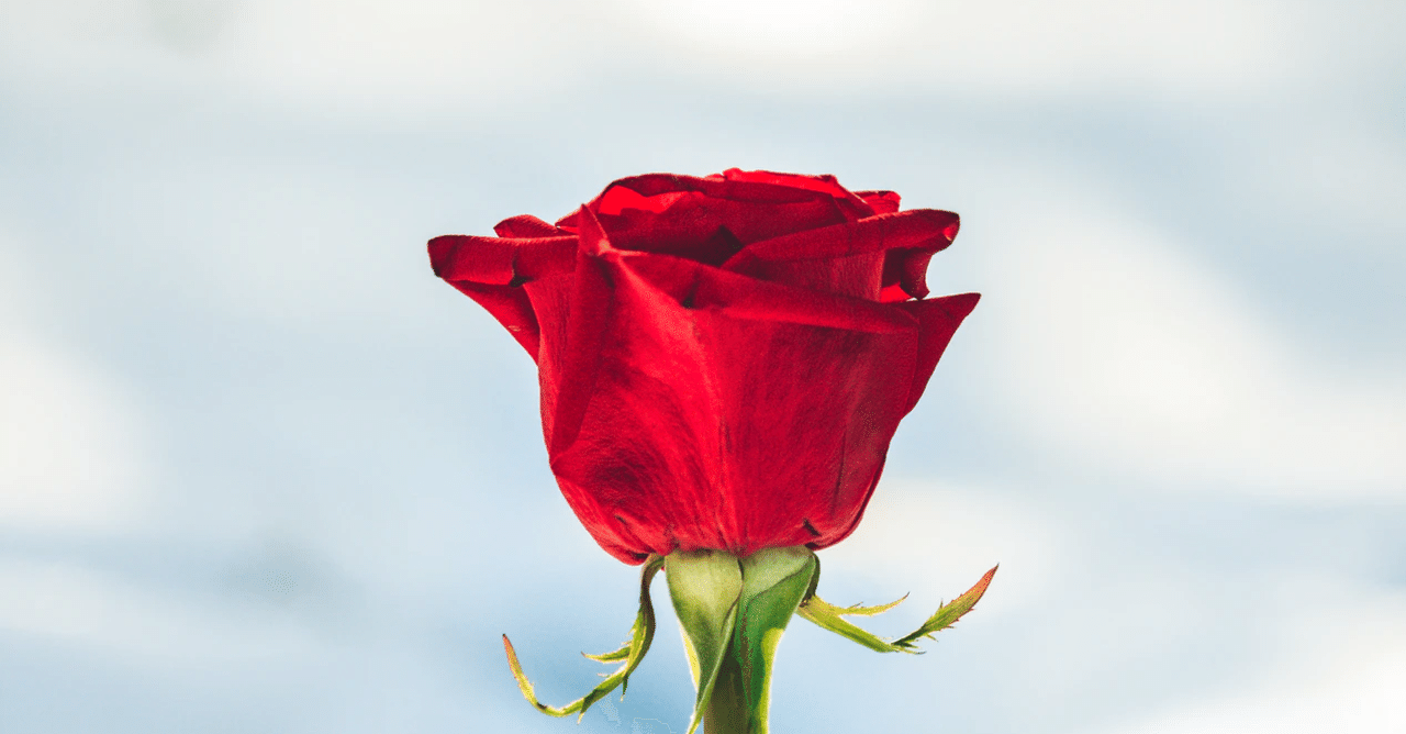 回避依存 独裁者 あなたを支配する方法 モラハラ 心理解説 2 3 満月 みつき Note 回避依存 独裁者 あなたを支配する方法 モラハラ 心理解説 2 3 満月 みつき Note