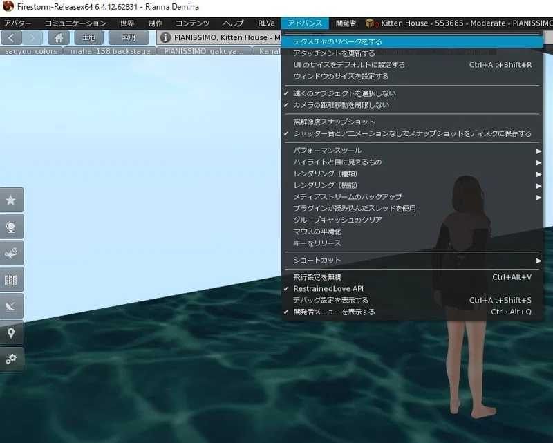 Second Life ダンス時に備えること Rina Note